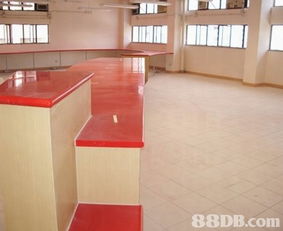 专业设计服务 以诚意为客户打造理想空间