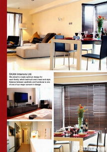 专业筑梦空间 Skan Interiors Ltd. 一站式室内设计与装修服务
